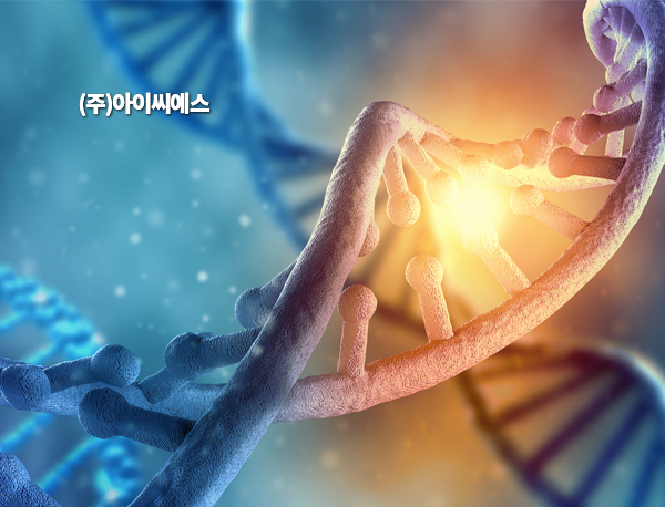 대전홈페이지제작업체 NO.1 대전웹 포트폴리오 2